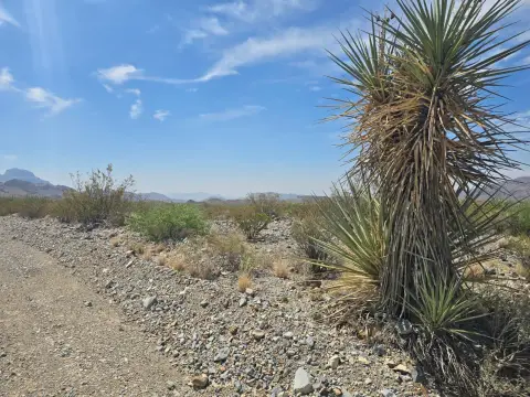 Vacant Specialty Property Land