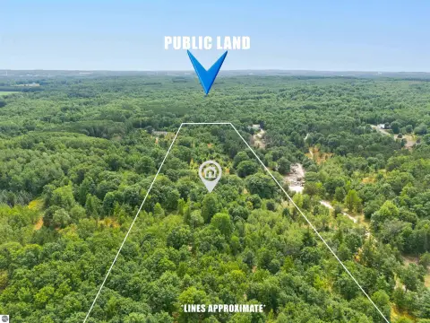 Wooded Recreational Land