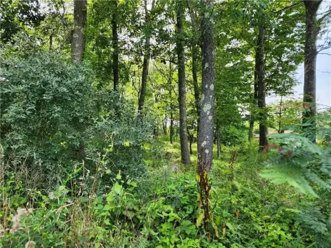 Carmel Land on Cul-de-Sac