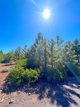 Lake Almanor Land For Sale