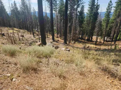Lake Almanor West Land Parcel