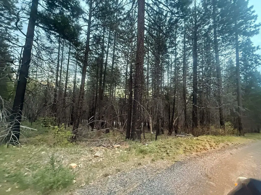 Picture 9