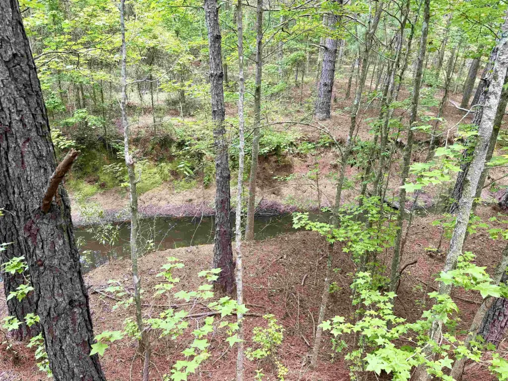 Picture 21