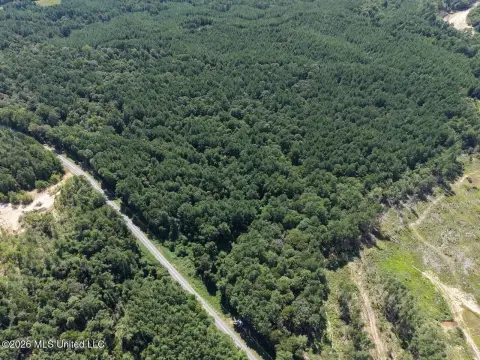 Wooded Hunting Land with Creek