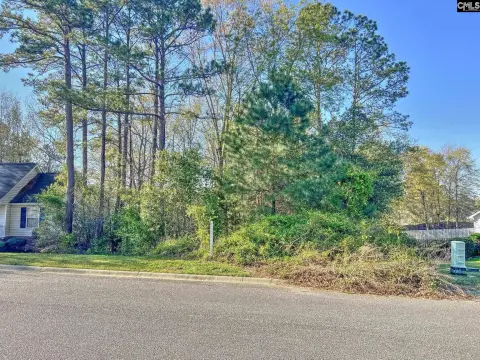 Residential Building Lot in Columbia
