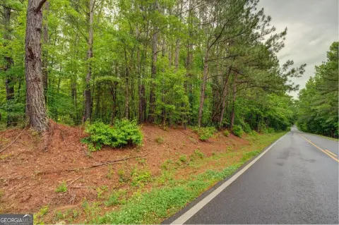 43 Acres in Shady Dale