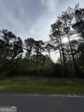 Wooded Lot in Dublin, GA