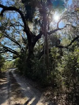 10 Acres of Tranquil Land