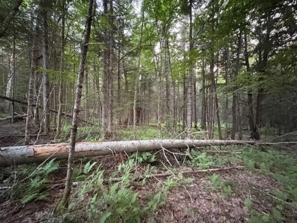 Picture 12