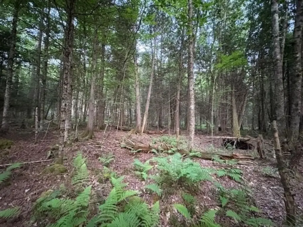 Picture 4