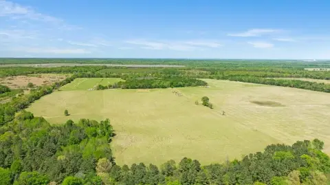 235 Acres in Red River County