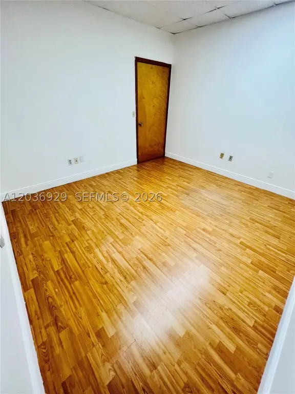 Picture 17