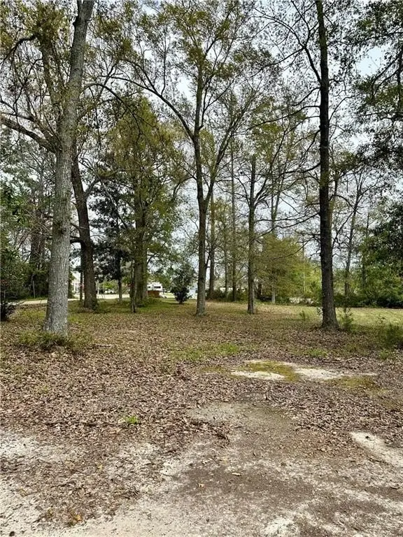 Picture 7