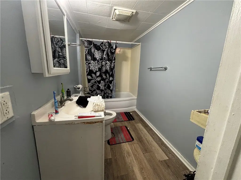 Picture 11