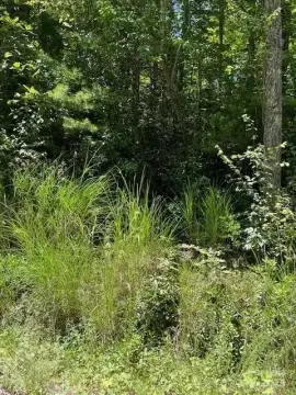 2.6 Acres Wooded Homesite
