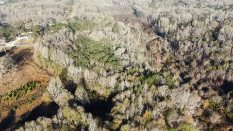 Seale, AL Vacant Land