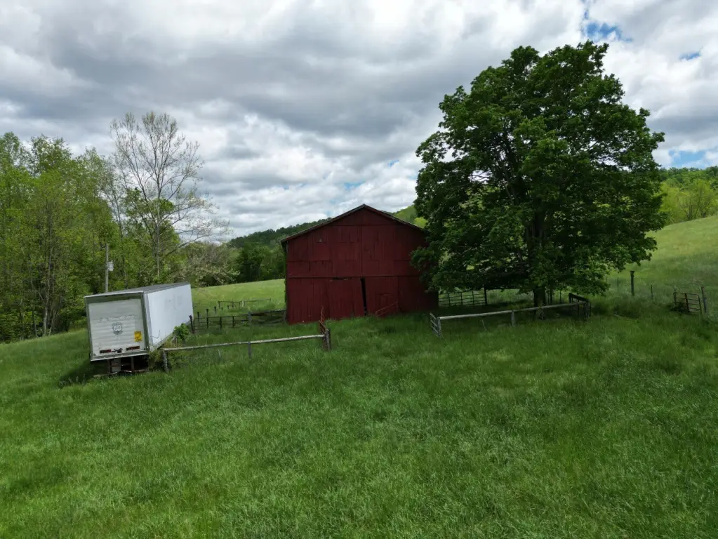 Picture 16