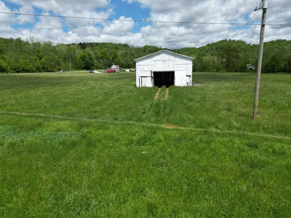 Picture 12