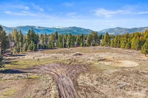 21 Acres with Hall Creek Frontage