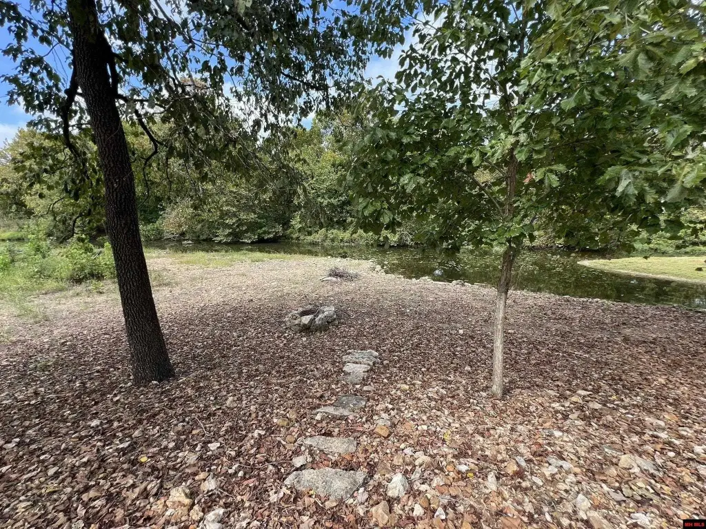 Picture 16