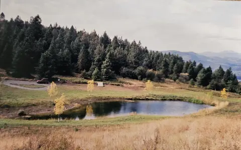 Land with Varied Terrain