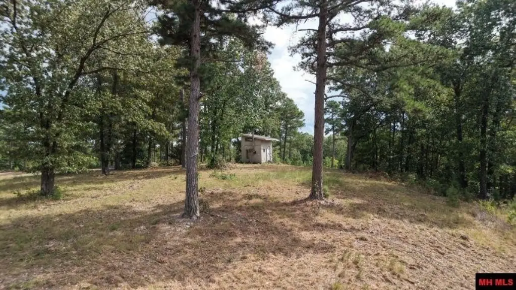 Picture 6