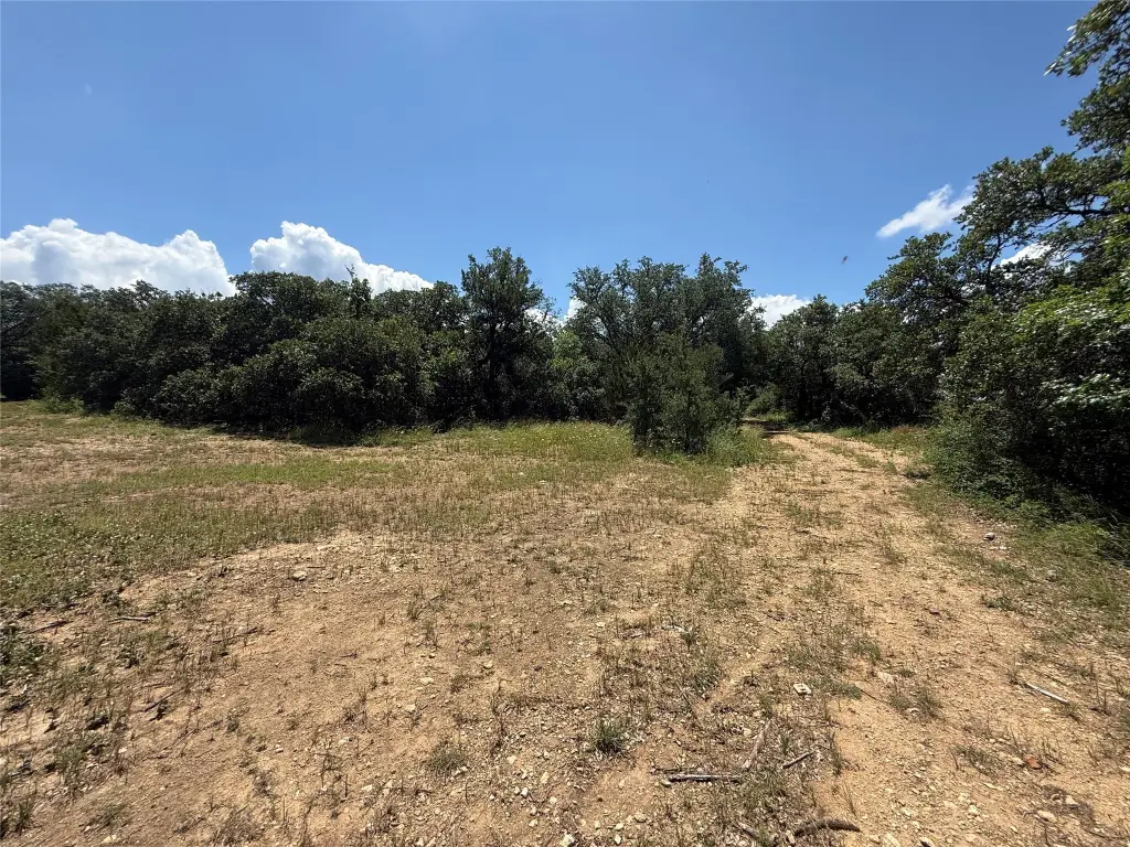 Picture 16