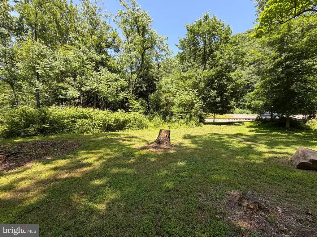 Picture 10
