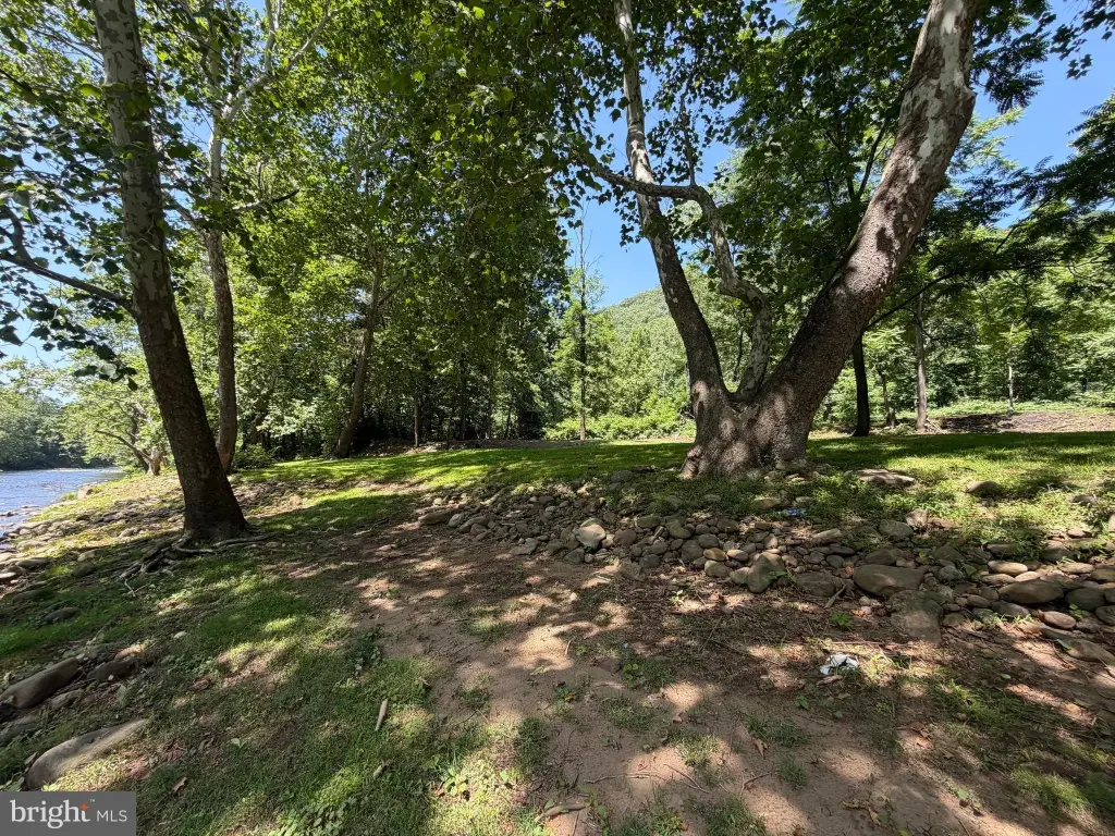 Picture 18