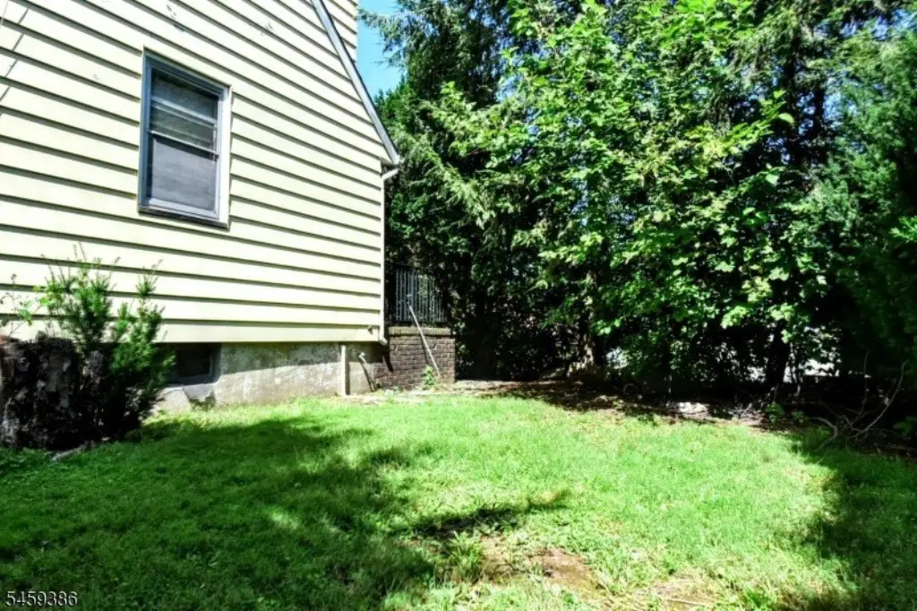 Picture 27