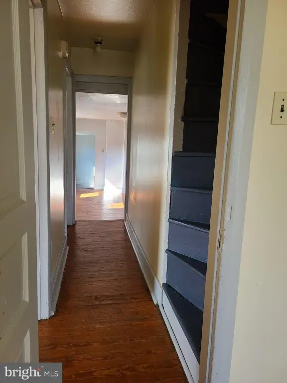 Picture 14