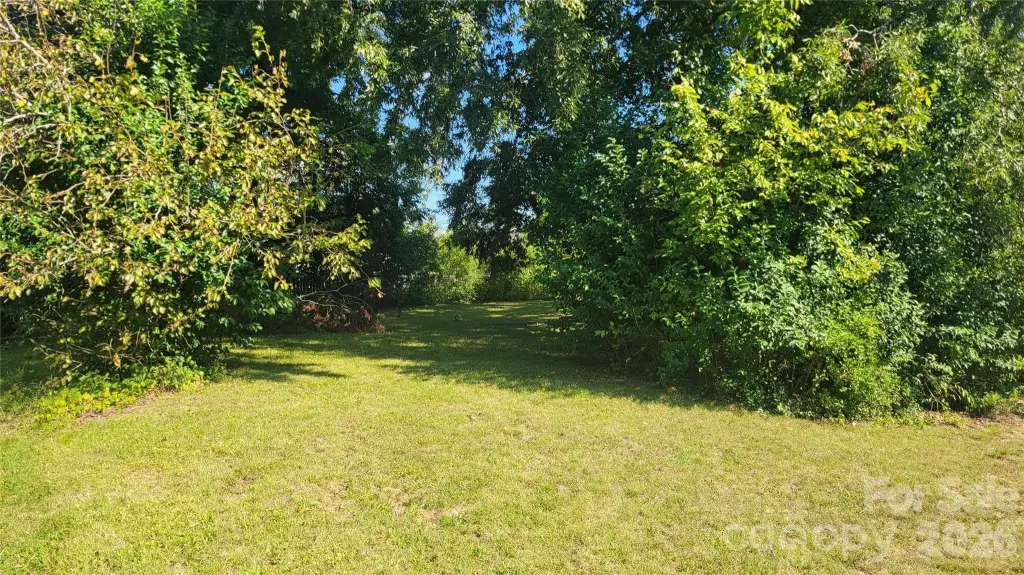 Picture 3