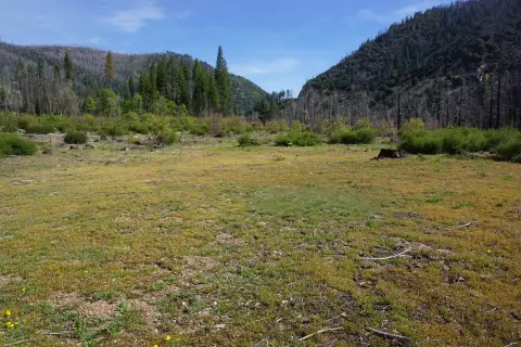 Land with Creek Frontage