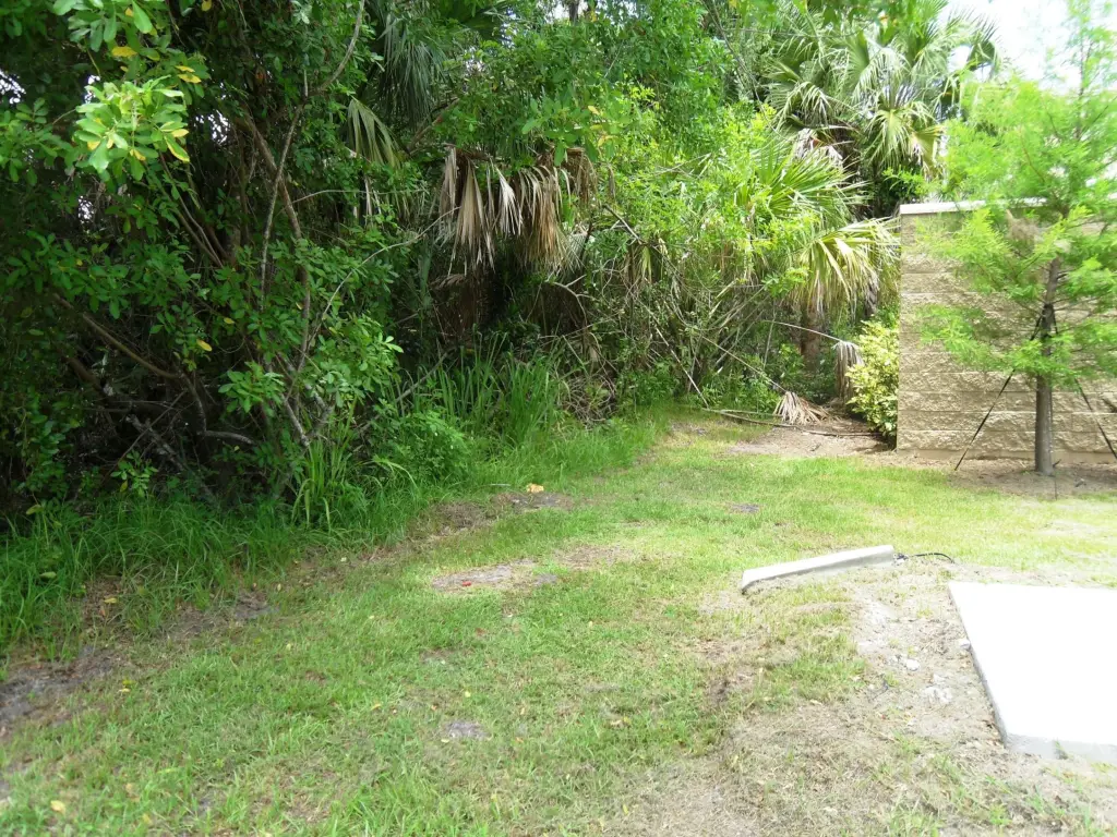 Picture 9