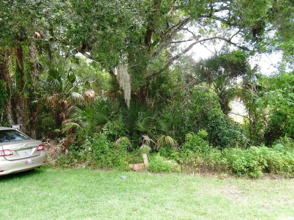 Picture 10