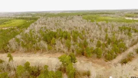 Acreage in Lone Star, TX