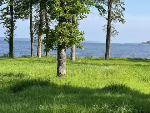 Lake Palestine Waterfront Lot