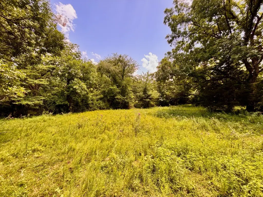 Picture 8