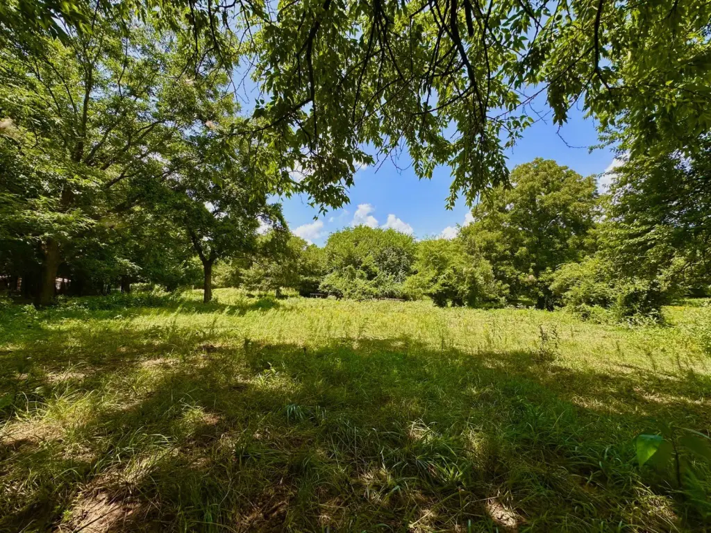 Picture 27