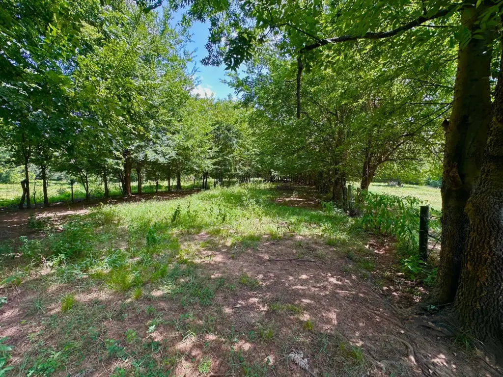 Picture 25