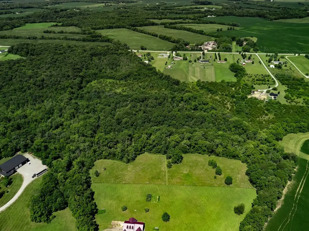 Picture 10