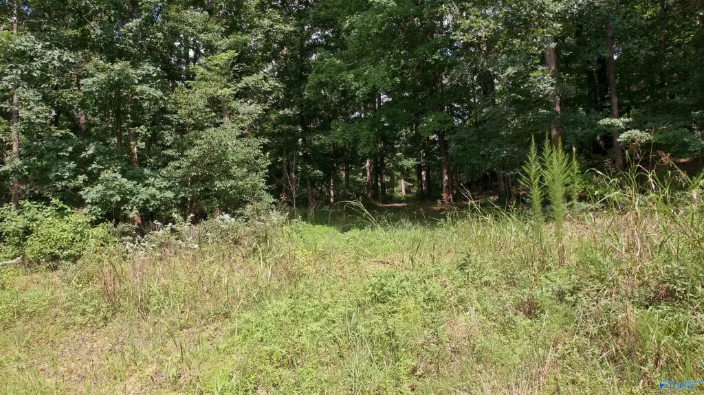 Picture 23