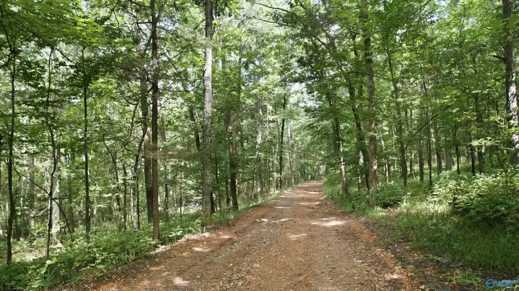 Picture 10