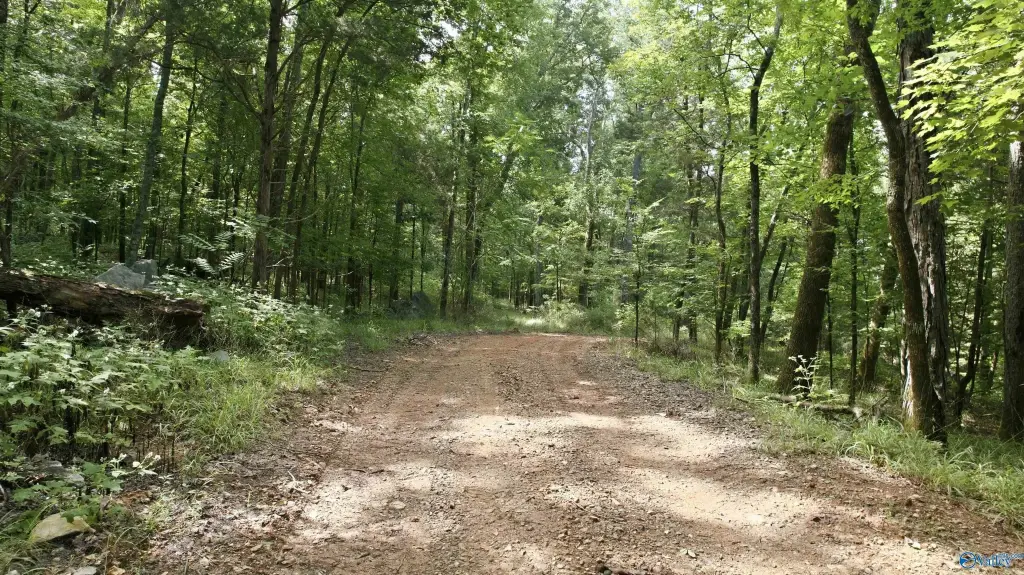 Picture 11