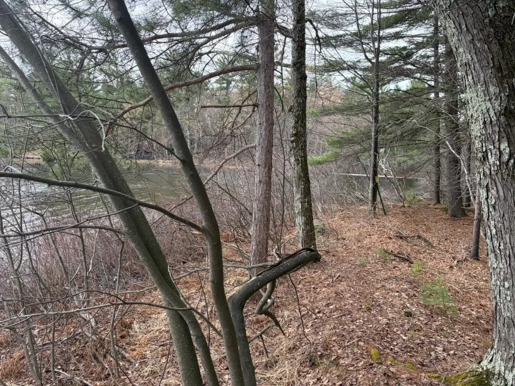 Picture 9