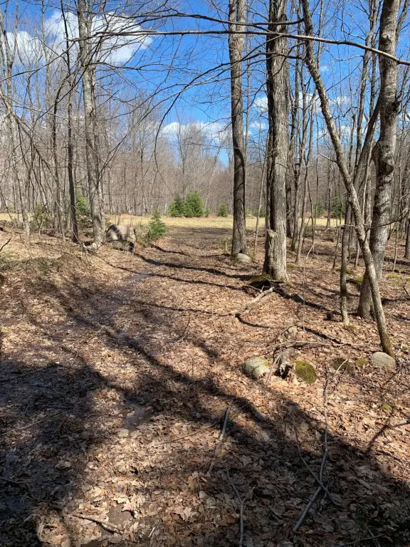 Picture 19