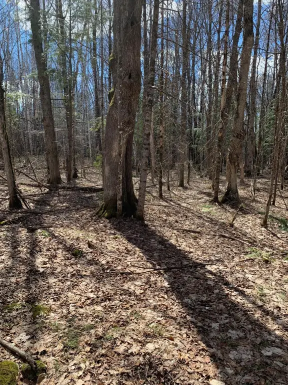 Picture 11