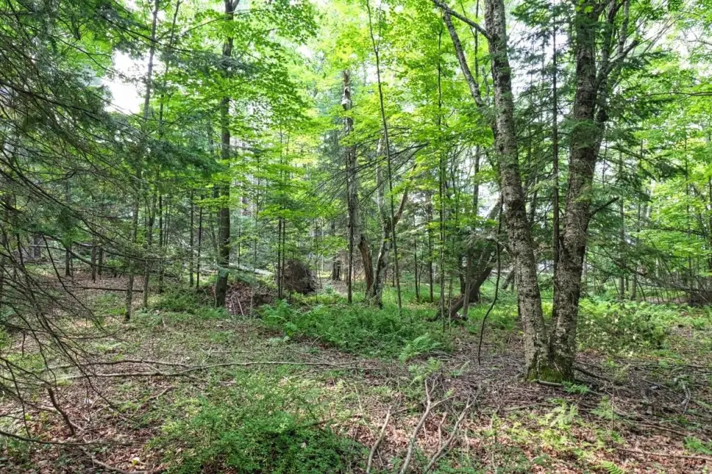 Picture 20