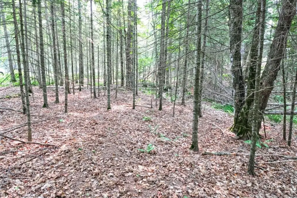 Picture 28