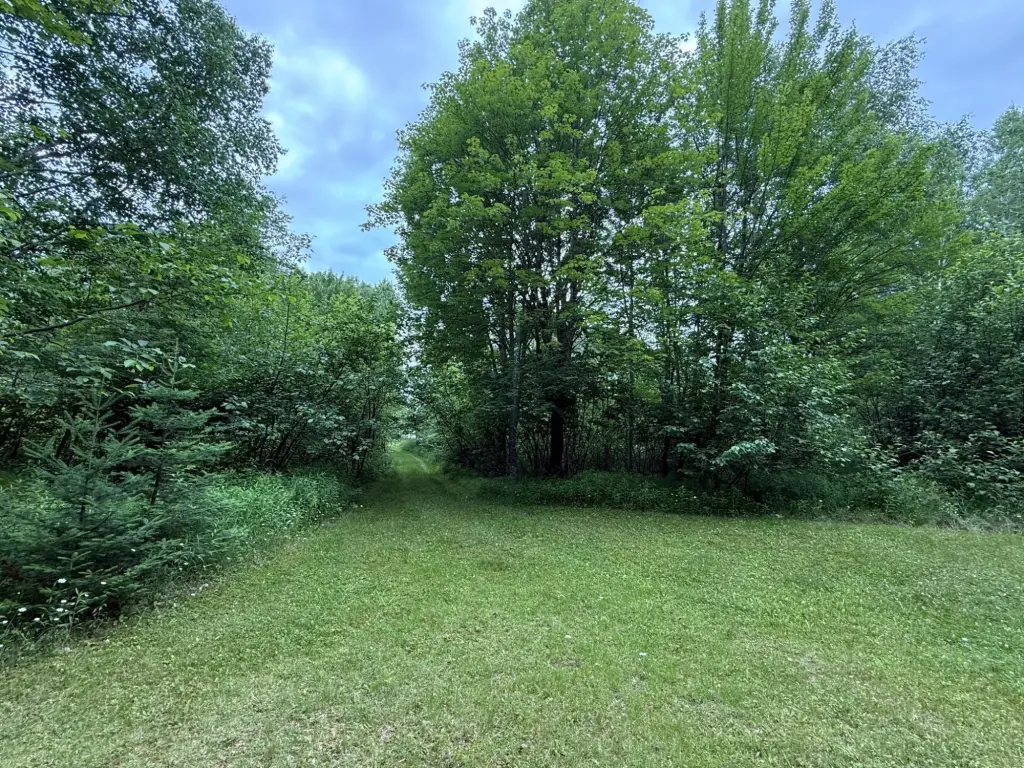 Picture 19